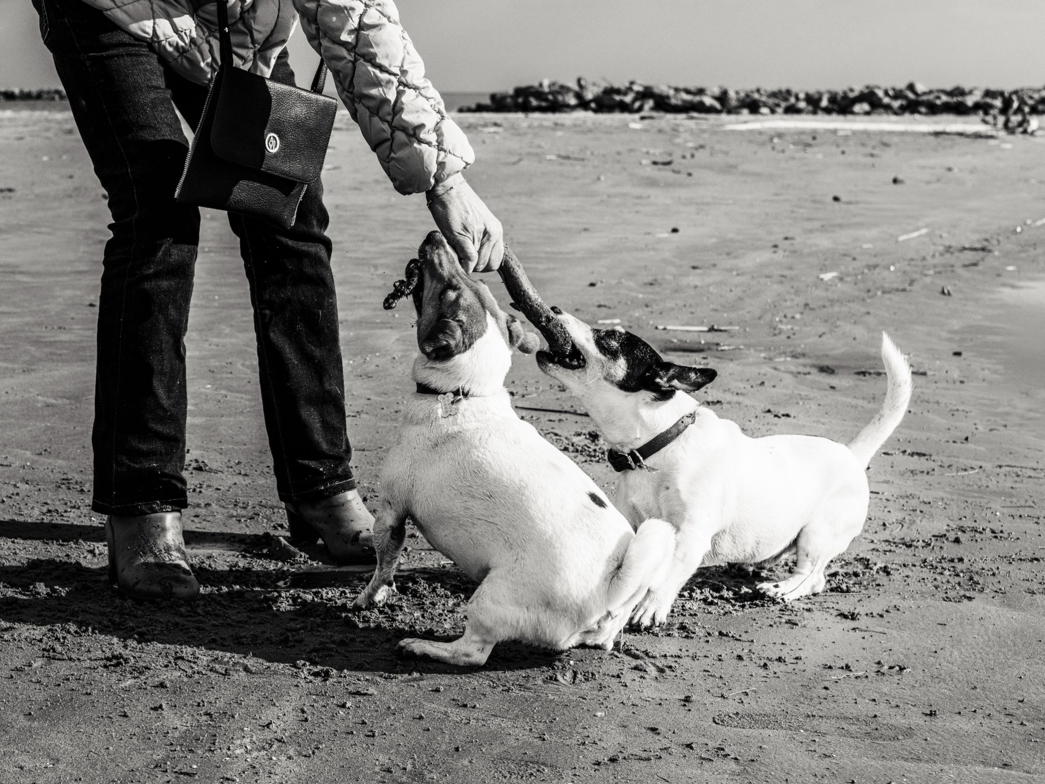 Christelle, Batman & Robin